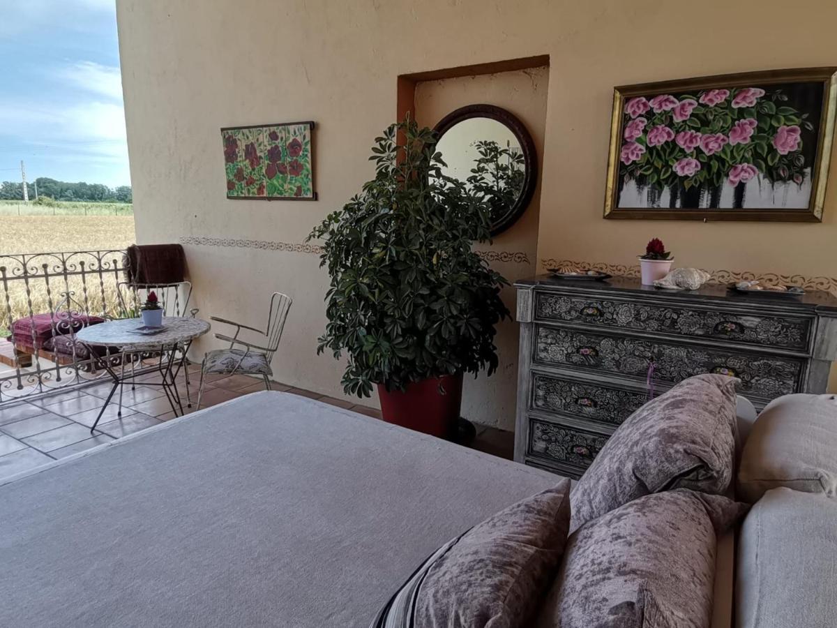 Mas Horta Prim Pension Sant Pere Pescador Buitenkant foto