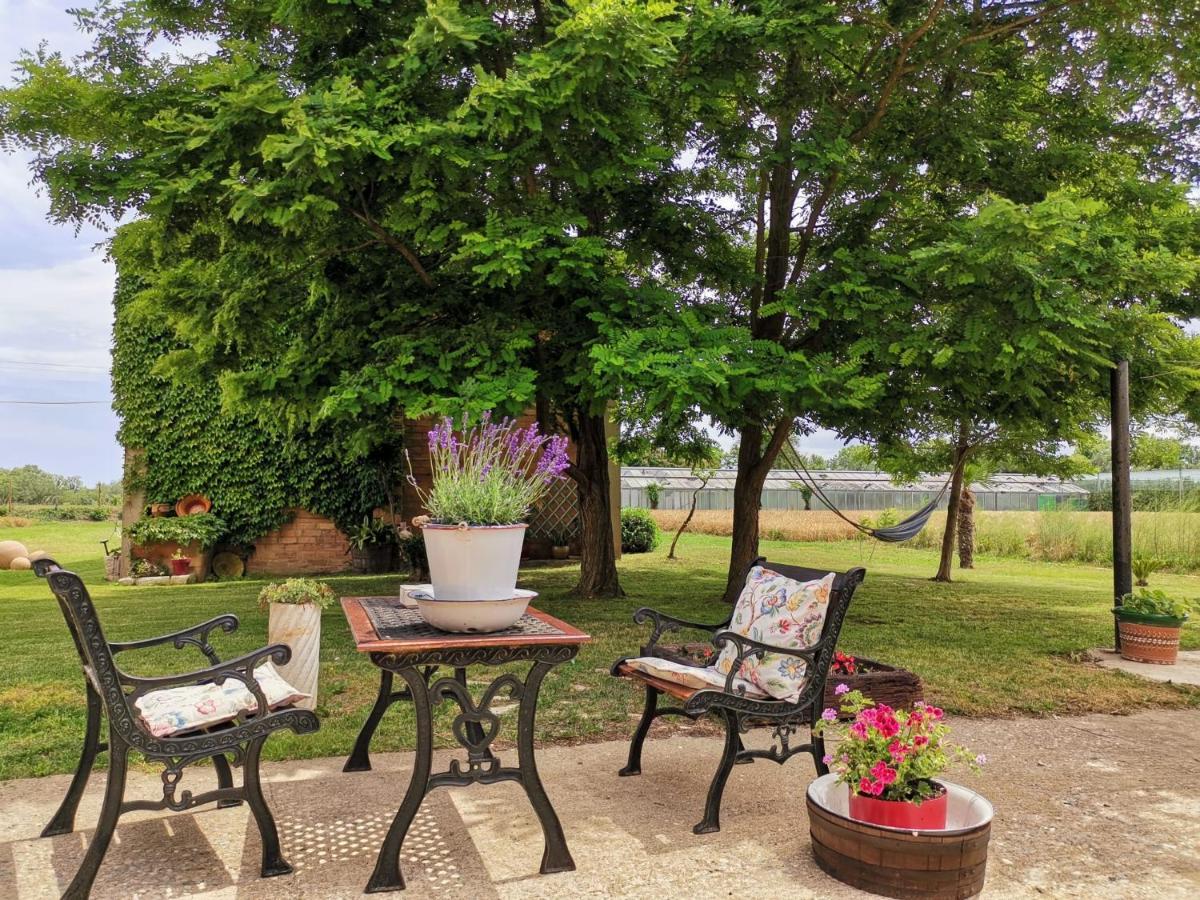 Mas Horta Prim Pension Sant Pere Pescador Buitenkant foto