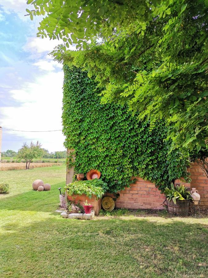 Mas Horta Prim Pension Sant Pere Pescador Buitenkant foto