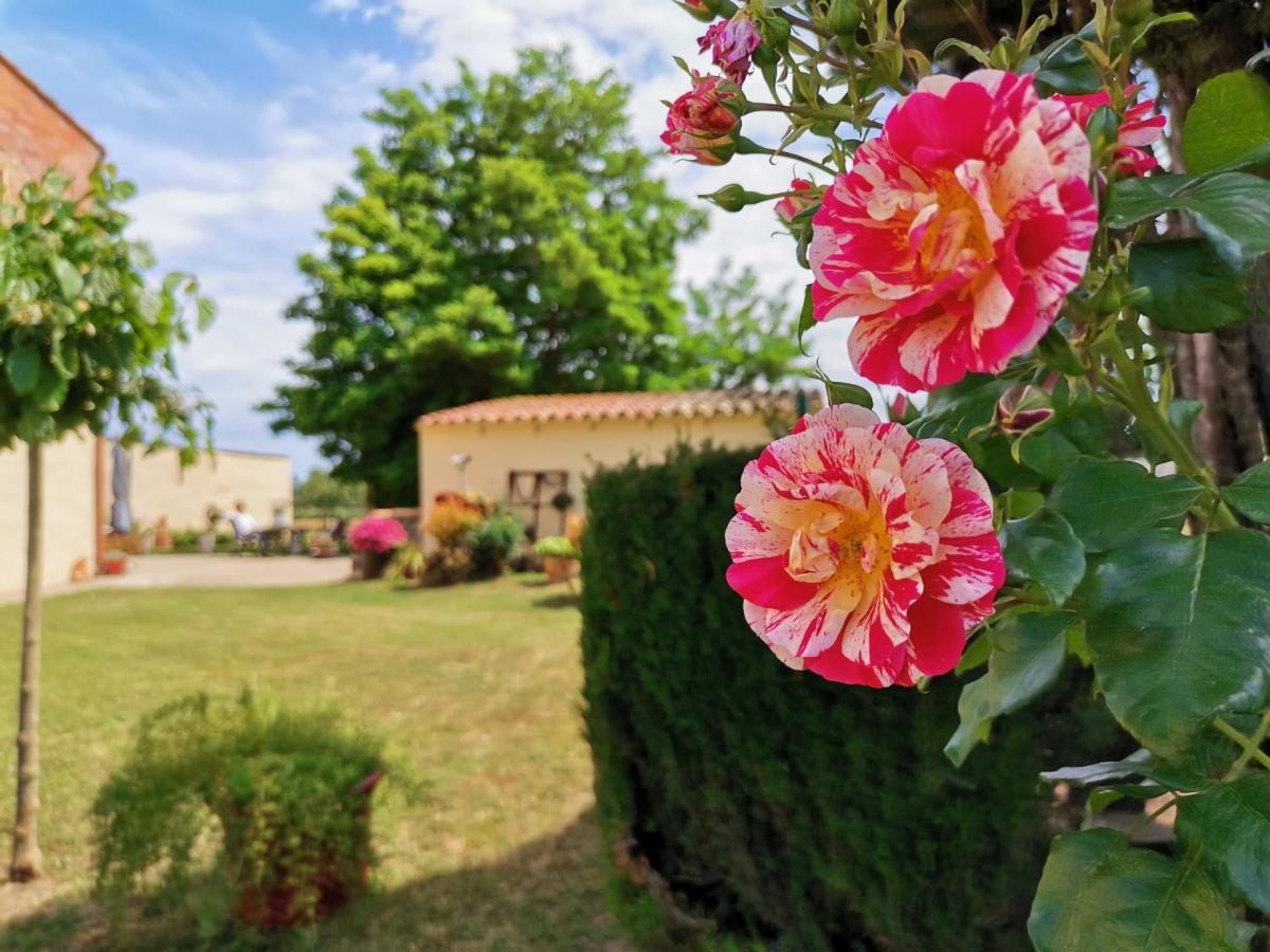 Mas Horta Prim Pension Sant Pere Pescador Buitenkant foto