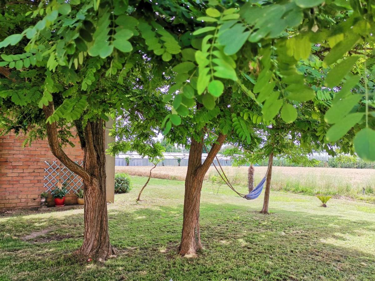 Mas Horta Prim Pension Sant Pere Pescador Buitenkant foto