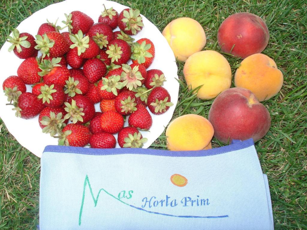 Mas Horta Prim Pension Sant Pere Pescador Buitenkant foto